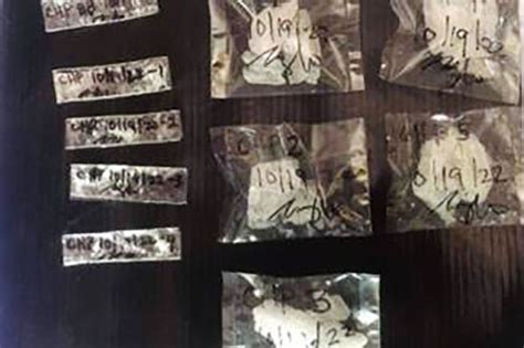 P1.1M shabu seized from ‘high.